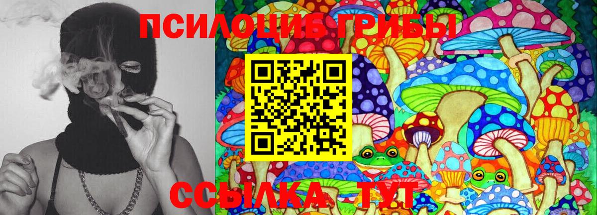 Псилоцибиновые грибы Psilocybine cubensis  Псилоцибиновые грибы MAGIC MUSHROOMS  Вход с VPN  Сальск 